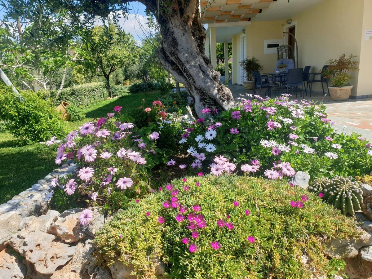 Appartement Studio Holiday